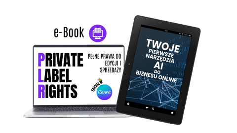 Ebook Twoje pierwsze narzędzia AI do biznesu